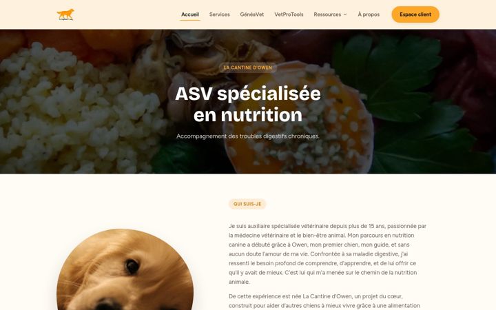 Screenshot of lacantinedowen.com