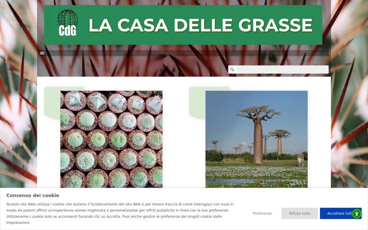 Screenshot of lacasadellegrasse.it