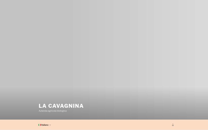 Screenshot of lacavagnina.com