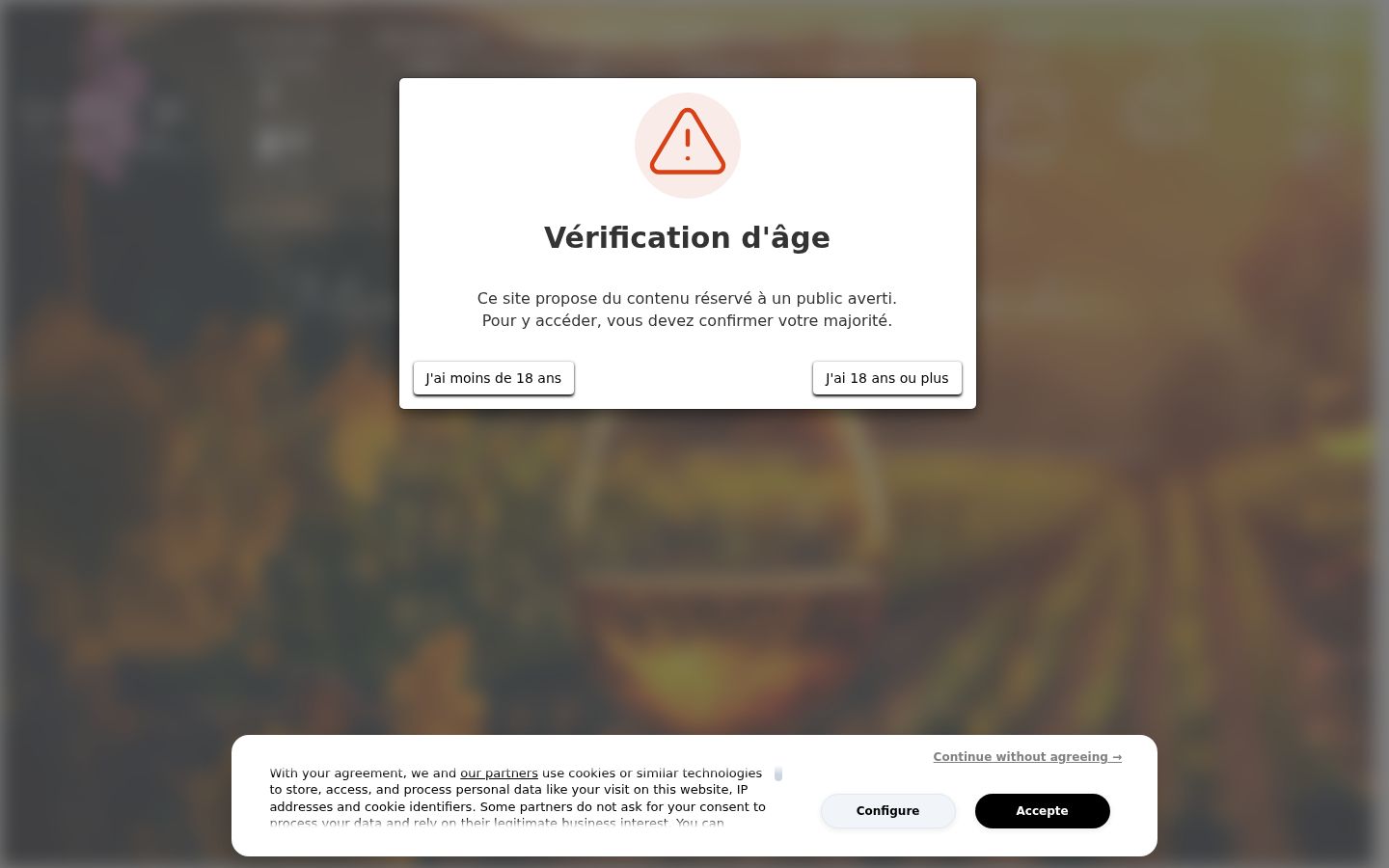 Screenshot del banner di consenso mostrato prima di qualsiasi interazione