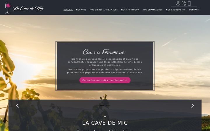 Screenshot of lacavedemic.fr