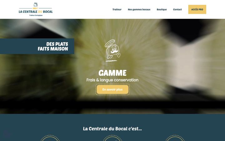 Screenshot of lacentraledubocal.fr
