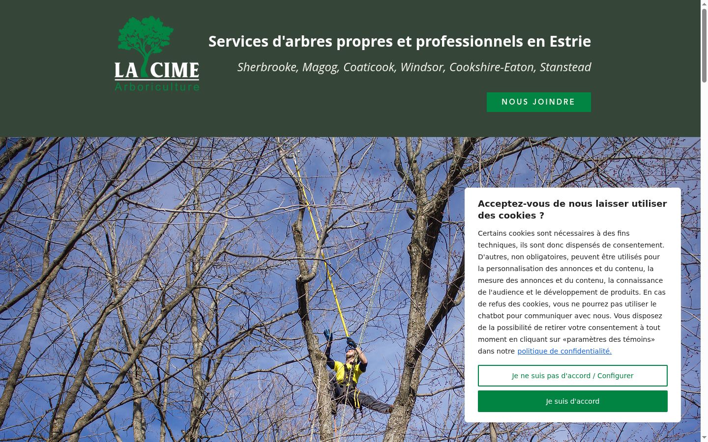Screenshot del banner di consenso mostrato prima di qualsiasi interazione