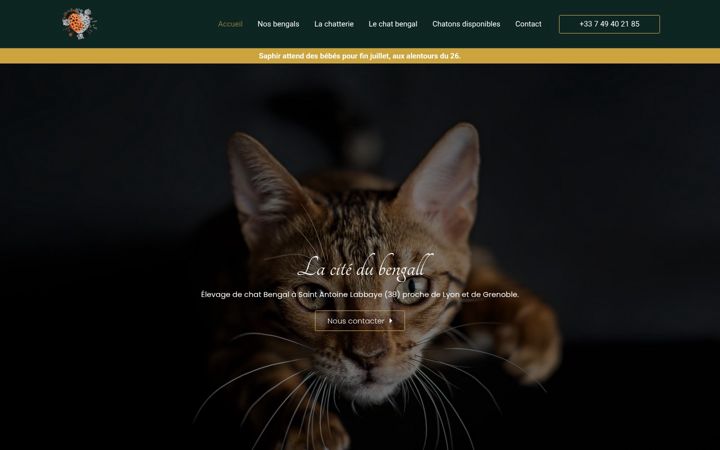 Screenshot of lacitedubengall.com
