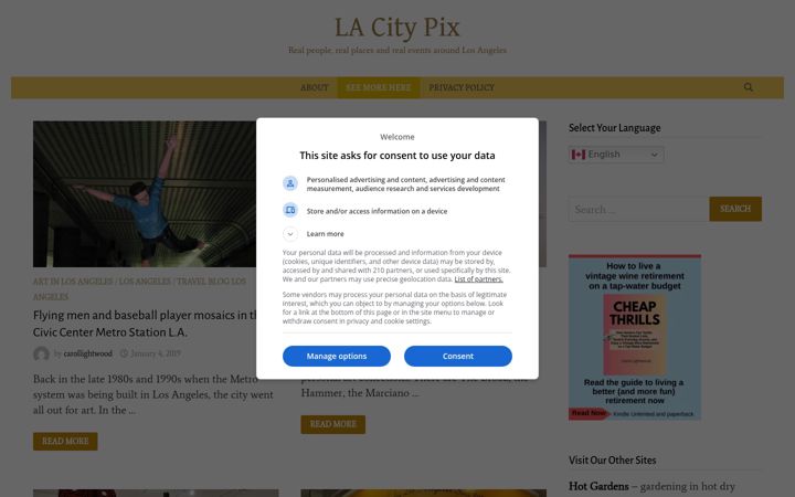 Screenshot of lacitypix.com