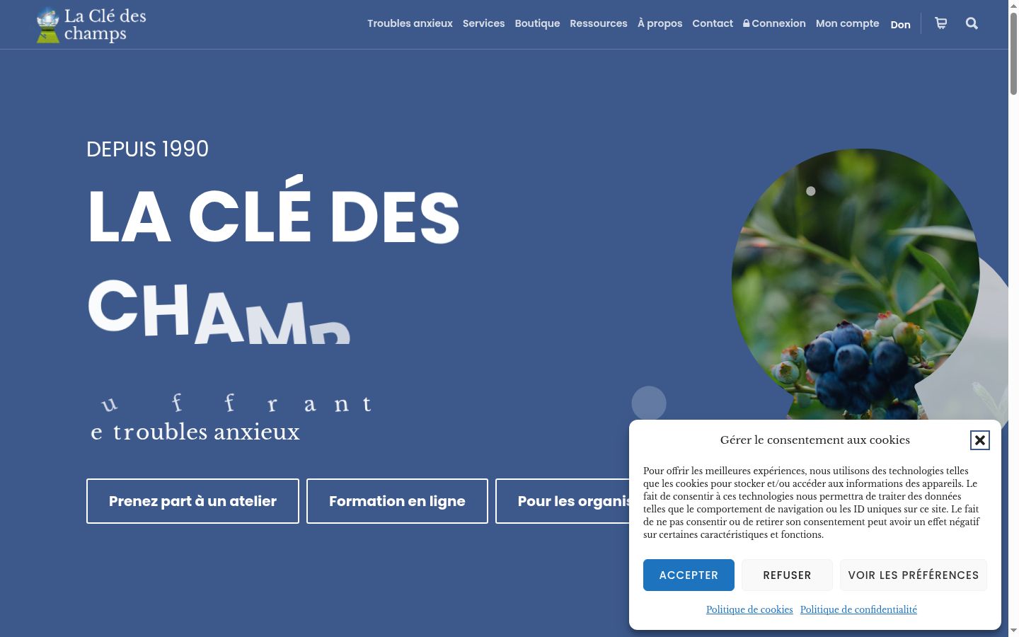 Sutikimo reklamjuostės, rodytos prieš bet kokią sąveiką, ekrano kopija