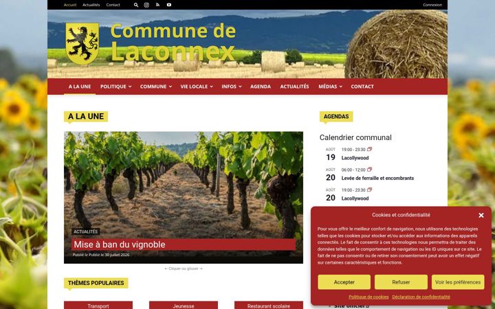 Screenshot of laconnex.ch