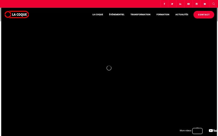 Screenshot of lacoque-numerique.fr