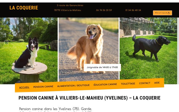 Screenshot of lacoquerie.fr