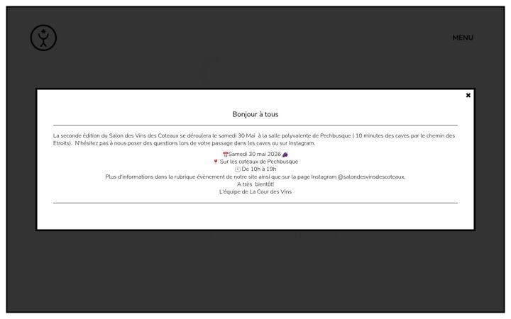 Screenshot of lacourdesvins.fr