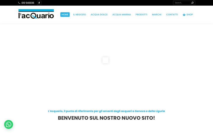Screenshot of lacquarioge.it