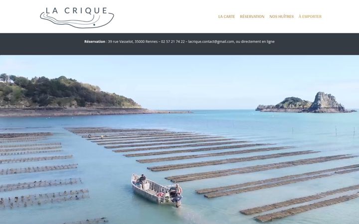 Screenshot of lacrique.fr