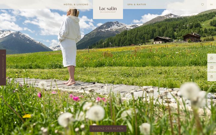 Screenshot of lacsalin.com
