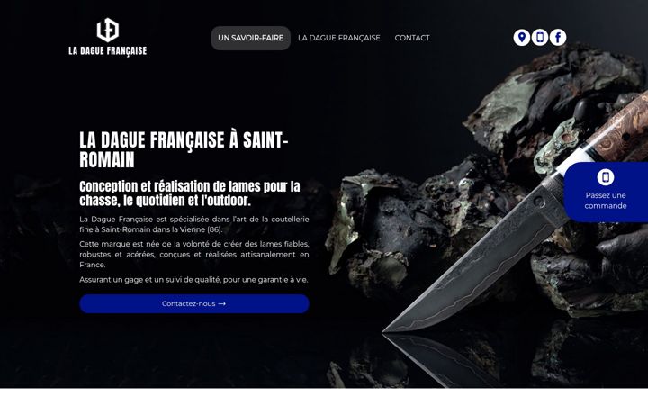 Screenshot of ladaguefrancaise.fr