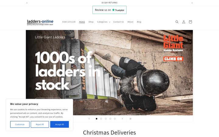 Screenshot of ladders-online.com