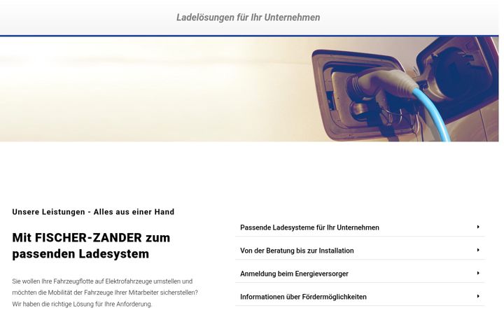 Screenshot of ladeloesungen-fuer-ihr-unternehmen.de