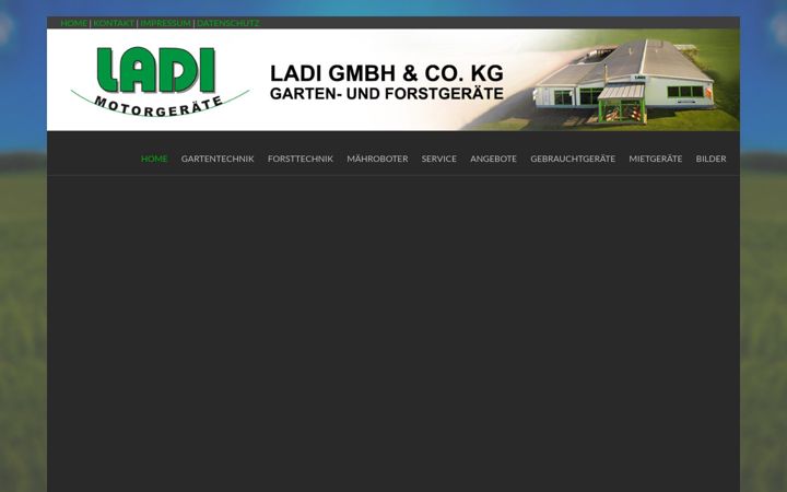 Screenshot of ladi-gmbh.de