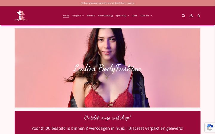Screenshot of ladiesbodyfashion.nl