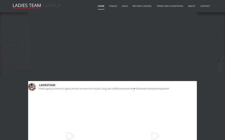 Screenshot of ladiesteam.com