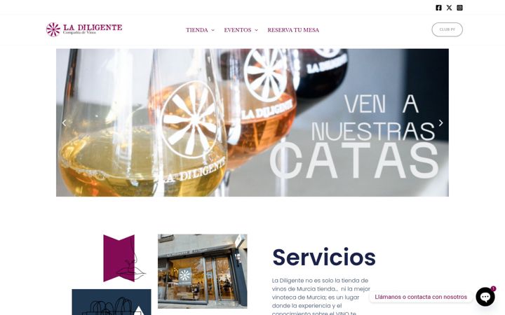 Screenshot of ladiligente.es