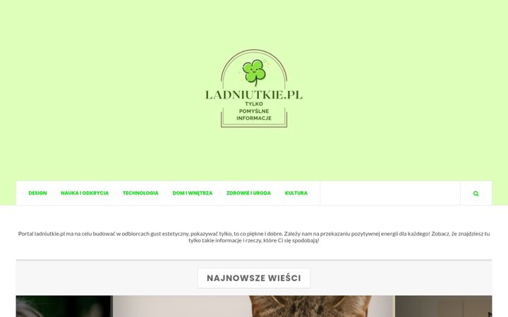 Screenshot of ladniutkie.pl