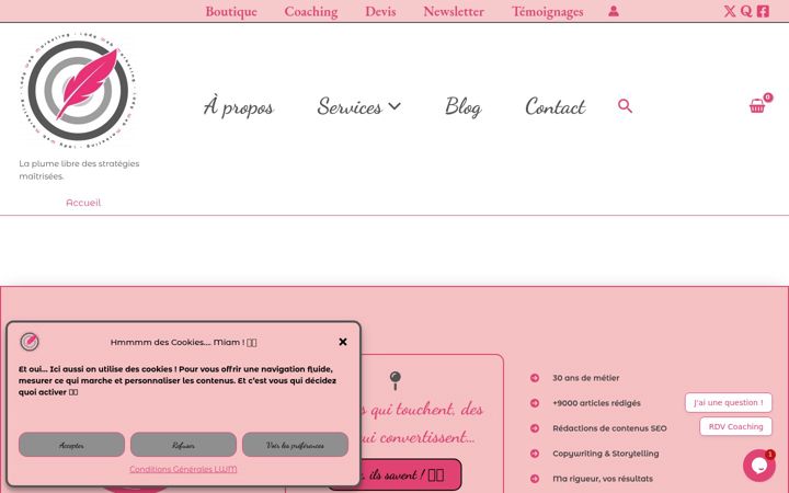 Screenshot of lady-webmarketing.com