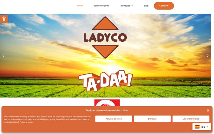 Screenshot of ladyco.es