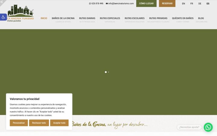 Screenshot of laencinaturismo.com