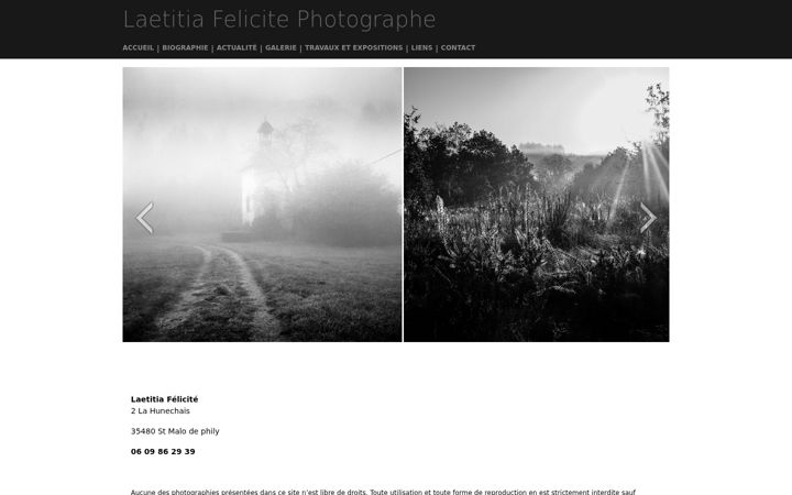 Screenshot of laetitia-felicite.com