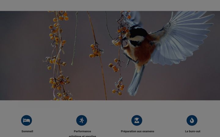Screenshot of laetitiacouasnon-sophrologue.fr