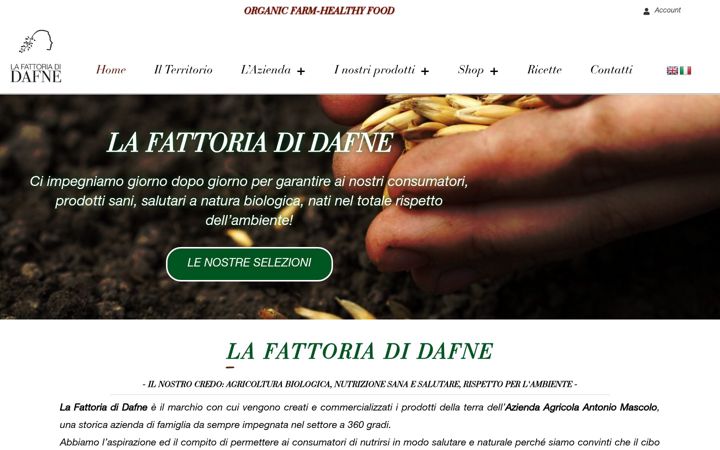 Screenshot of lafattoriadidafne.com
