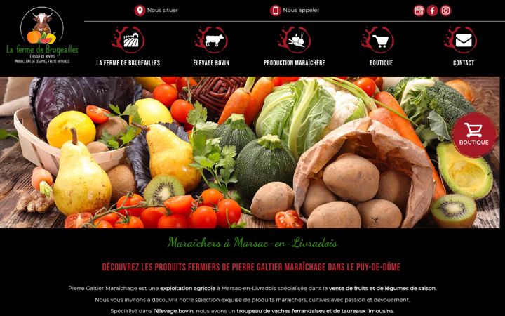 Screenshot of lafermedebrugeailles.fr
