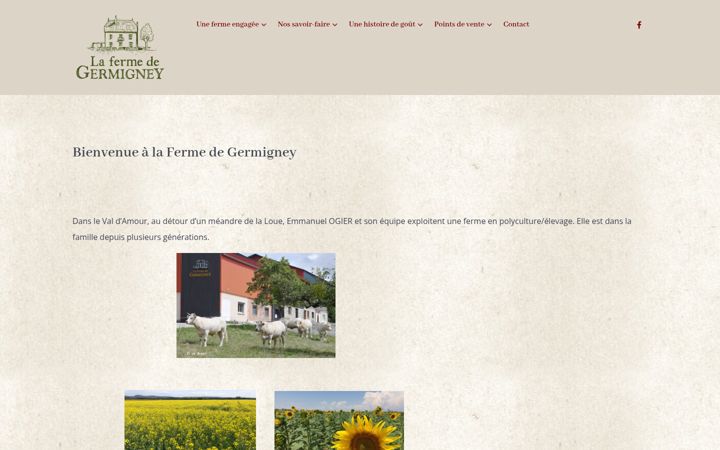 Screenshot of lafermedegermigney.fr
