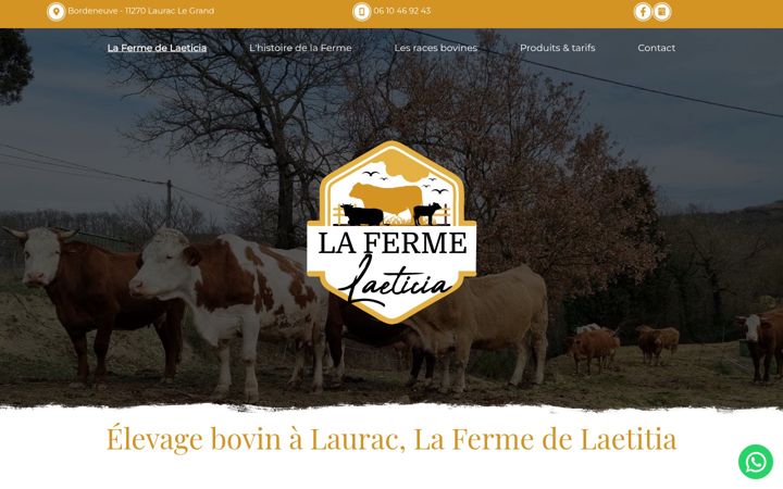 Screenshot of lafermedelaetitia.fr