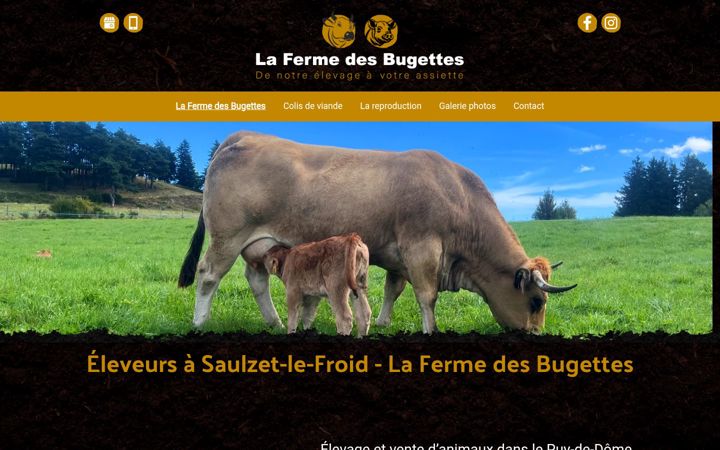 Screenshot of lafermedesbugettes.fr