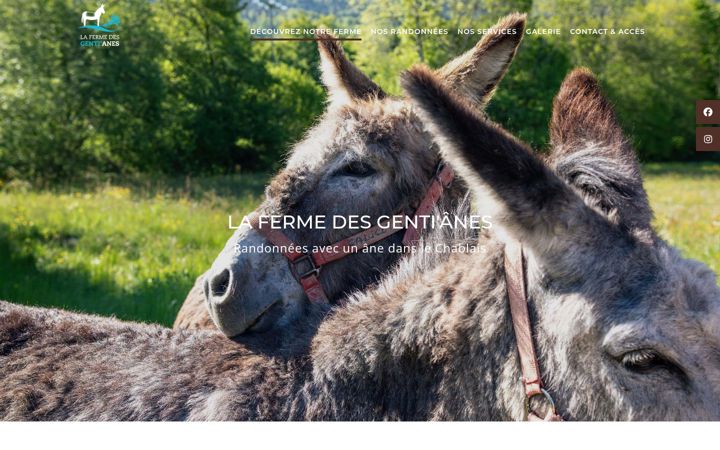 Screenshot of lafermedesgentianes.com