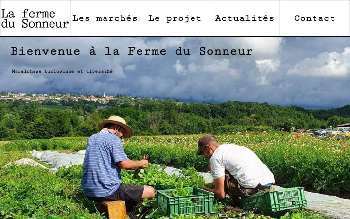 Screenshot of lafermedusonneur.ch