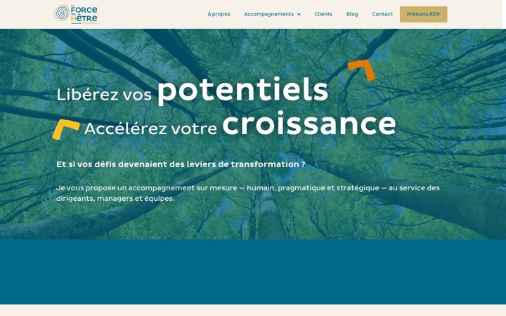 Screenshot of laforcedelhetre.fr