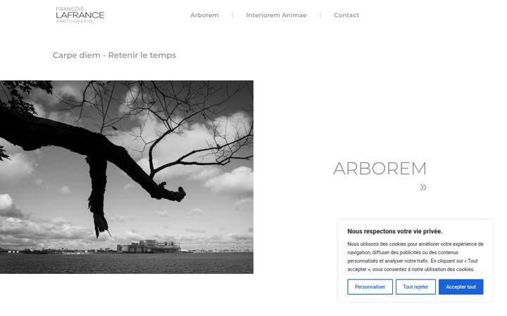 Screenshot of lafrancephoto.ca