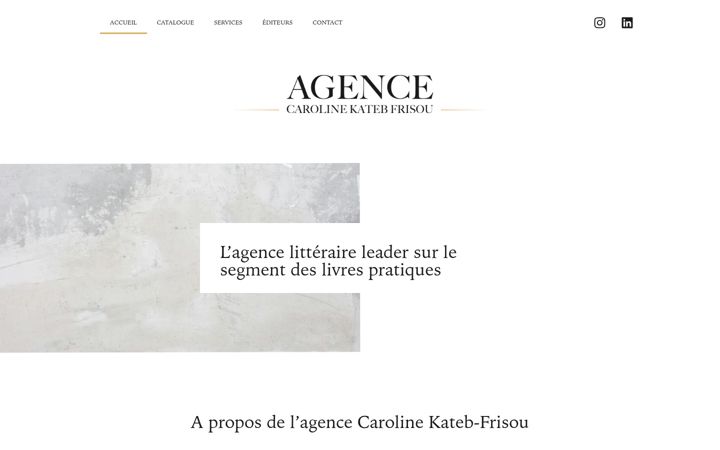 Screenshot of lagencelitteraire.com