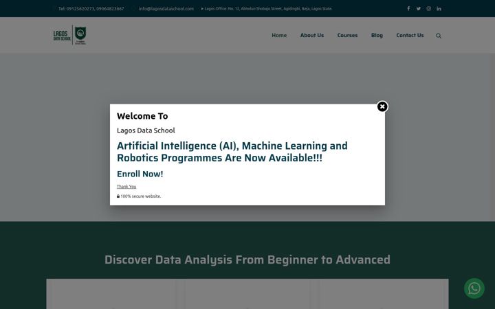 Screenshot of lagosdataschool.com