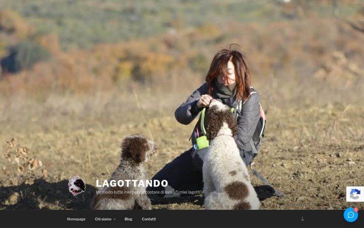 Screenshot of lagottando.it