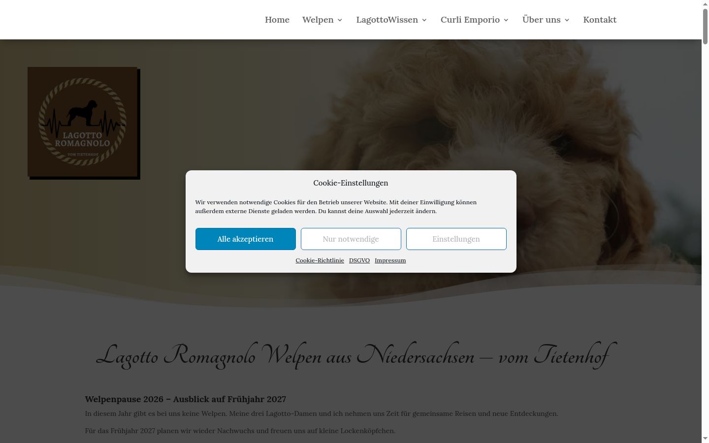 Screenshot of the consent banner shown before any interaction