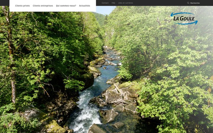 Screenshot di lagoule.ch