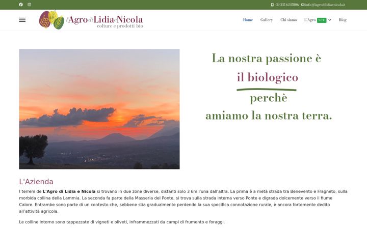 Screenshot of lagrodilidiaenicola.it