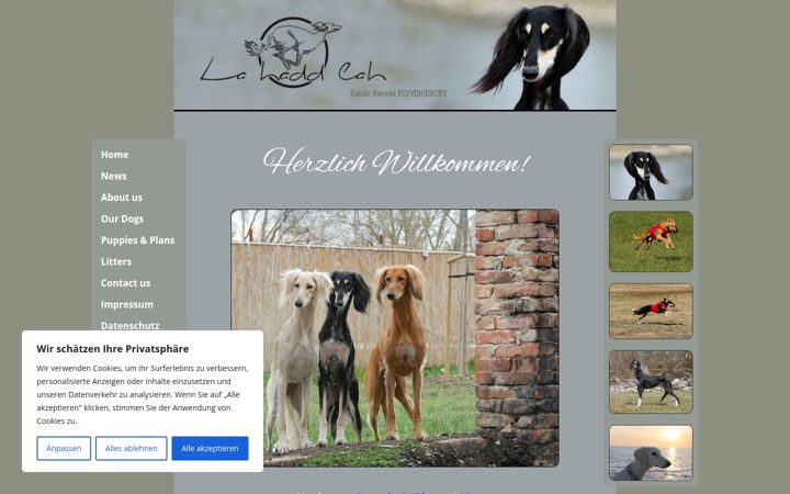 Screenshot of lahaddlah-salukis.de