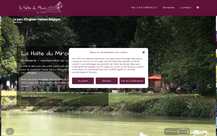 Screenshot of lahaltedumiroir.com