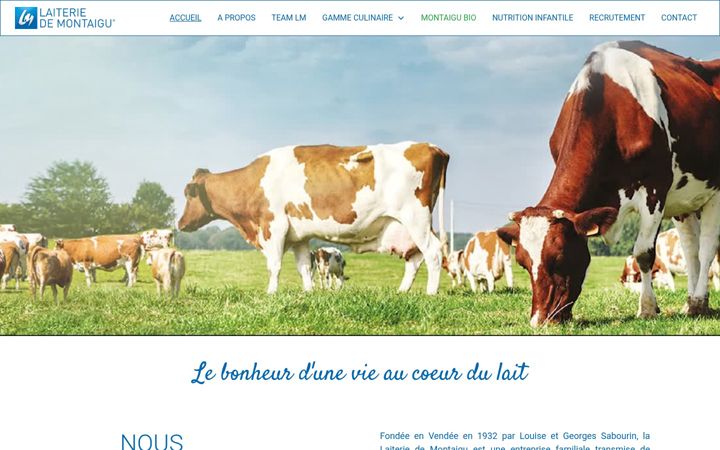 Screenshot of laiteriedemontaigu.com