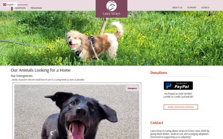 Screenshot of laiza-strays.org