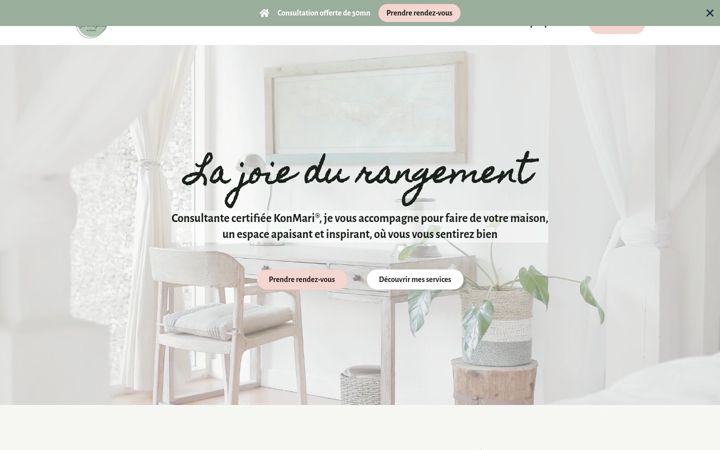 Screenshot of lajoiedurangement.fr